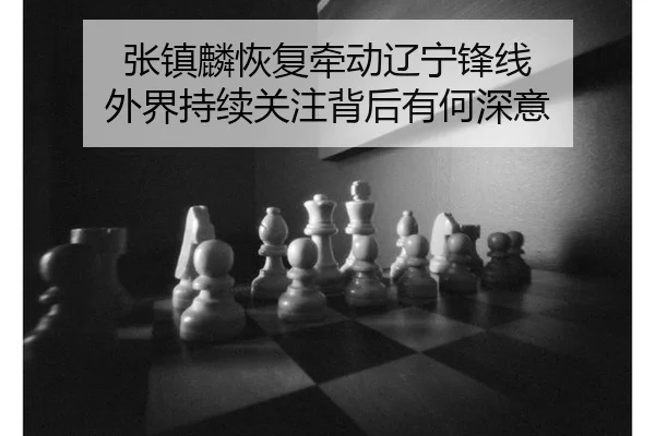 张镇麟恢复牵动辽宁锋线 外界持续关注背后有何深意